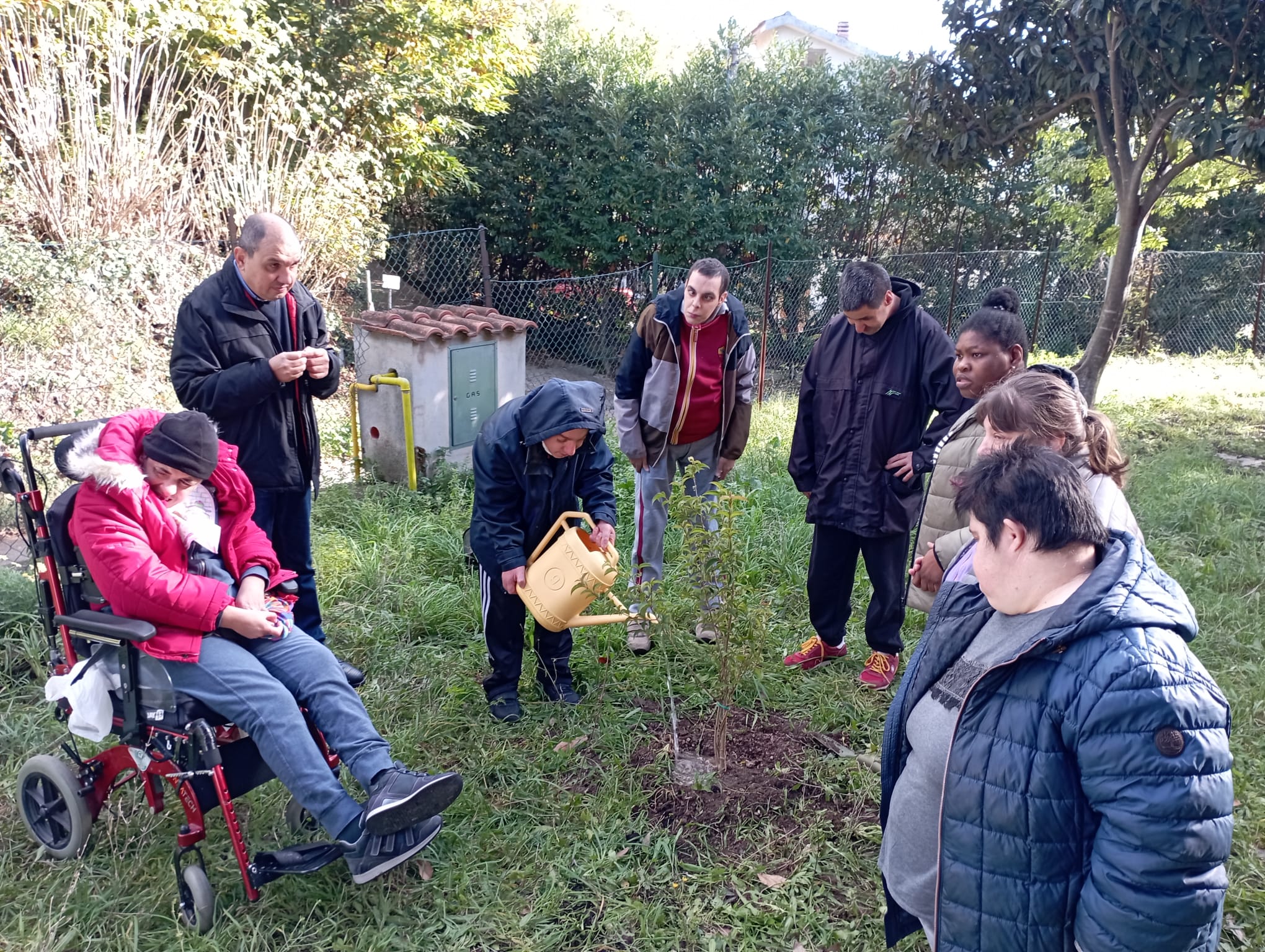 Chi pianta un albero pianta una speranza – Consorzio Intesa Società ...